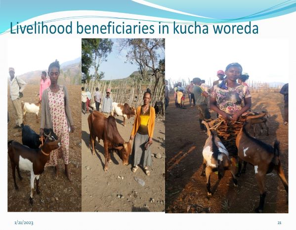 Livelihood beneficiaries in kucha woreda